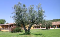 Terrazza monolocale