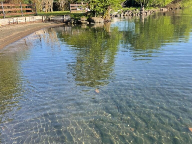 Agriturismo Bolsena - Arlena - lake beach