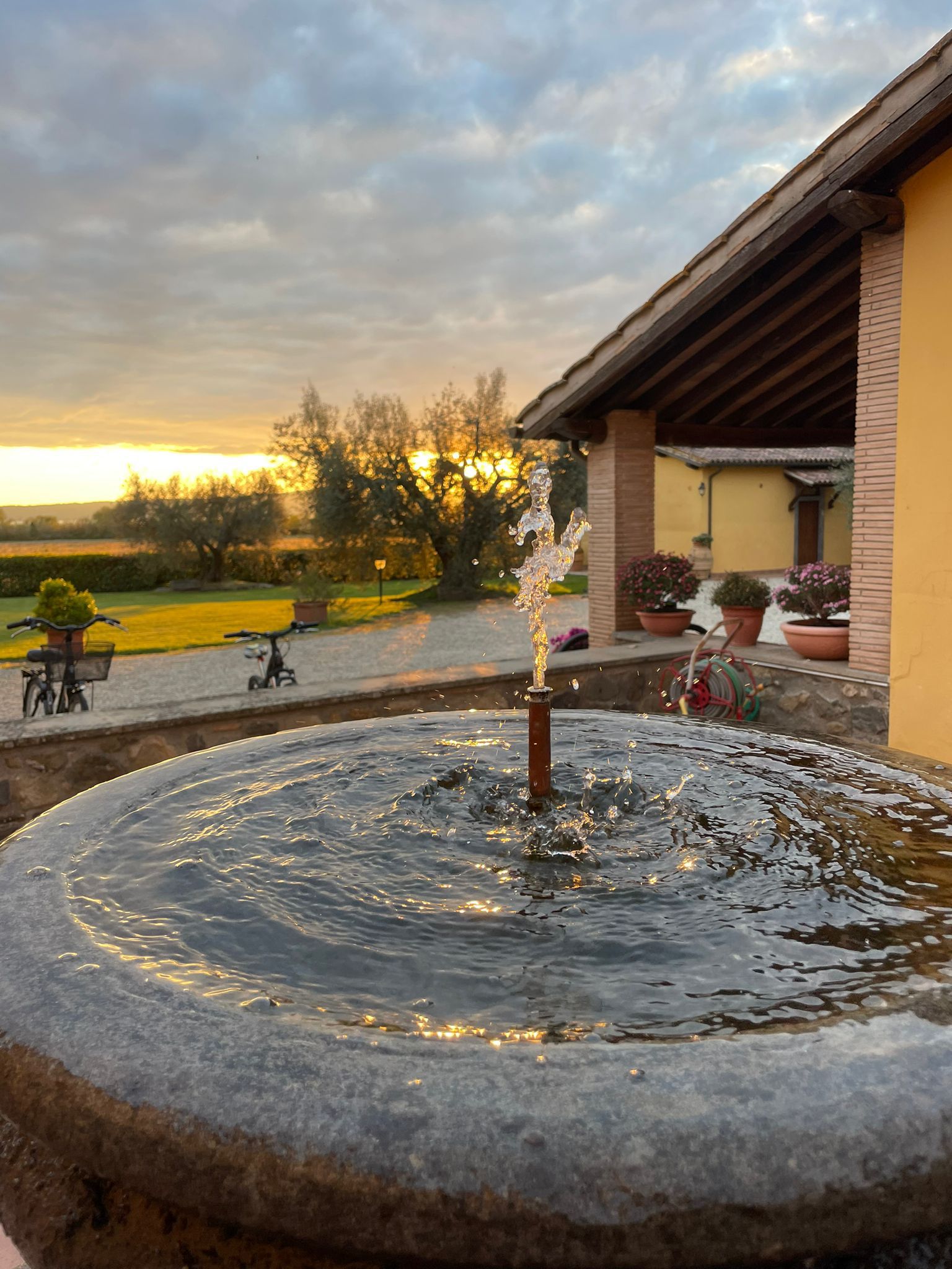 Agriturismo Bolsena - Arlena - sunset