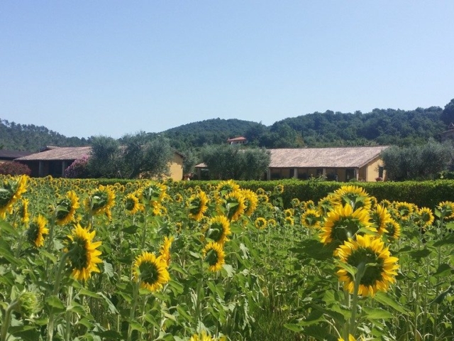 Agriturismo Bolsena - Arlena